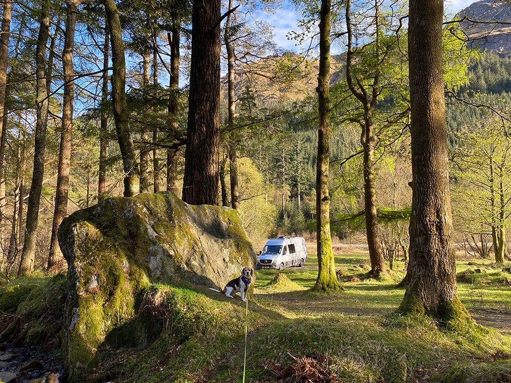 Mercedes sprinter campervan in woods in Scotland